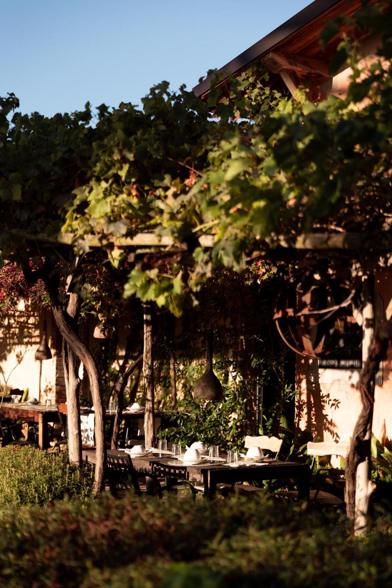 Agriturismo San Martino Montepulciano Stazione 외부 사진